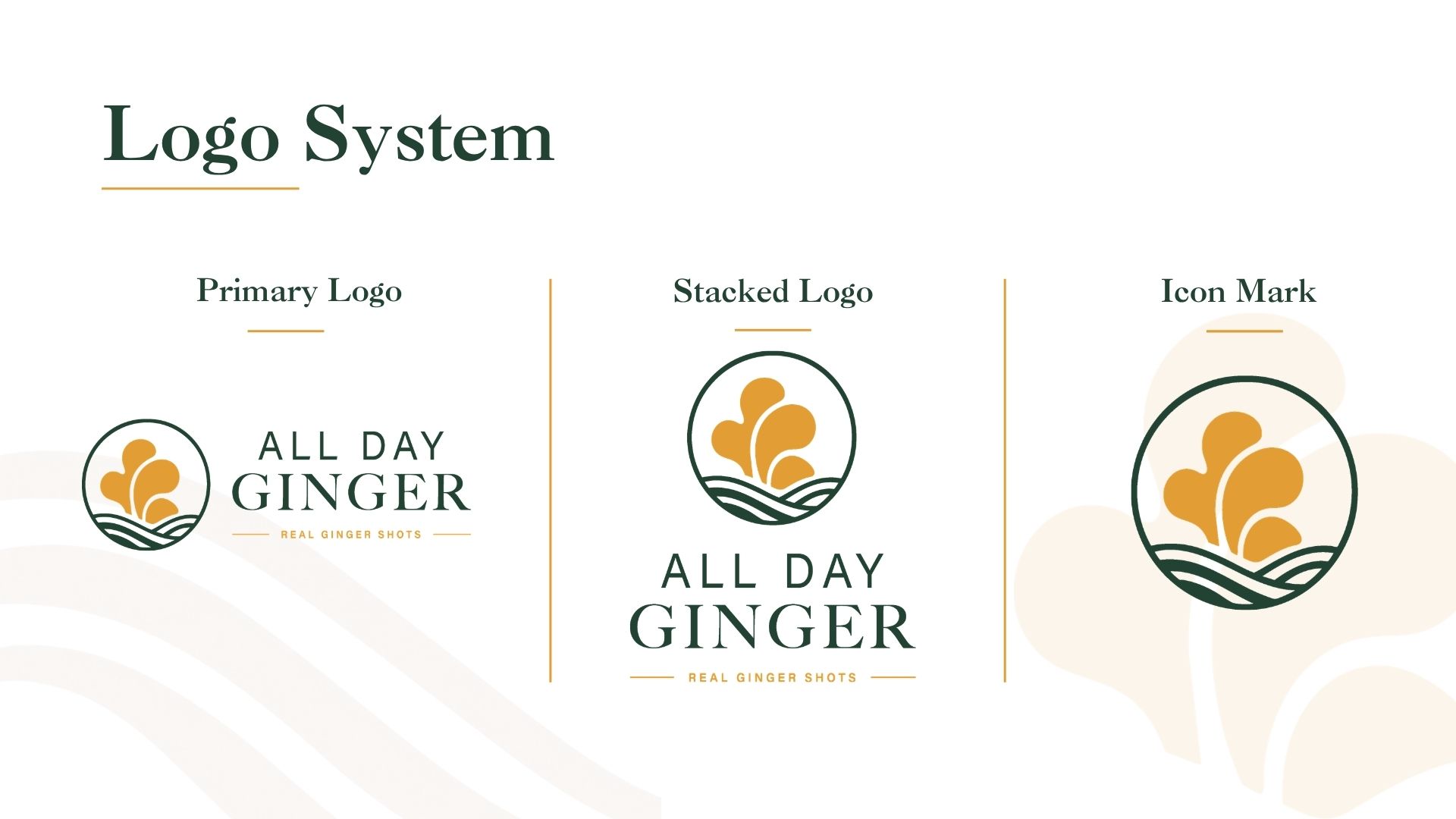 All Day Ginger brand identity — system detail 03